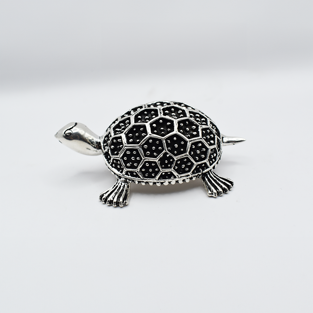 Lucky Charm Silver Turtle Images-3